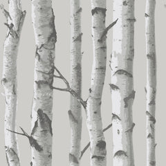 Mountain Birch P&S Wallpaper by WallPops