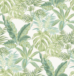 Madagascar P&S Wallpaper by WallPops