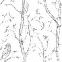 Woods Peel And Stick Wallpaper by WallPops