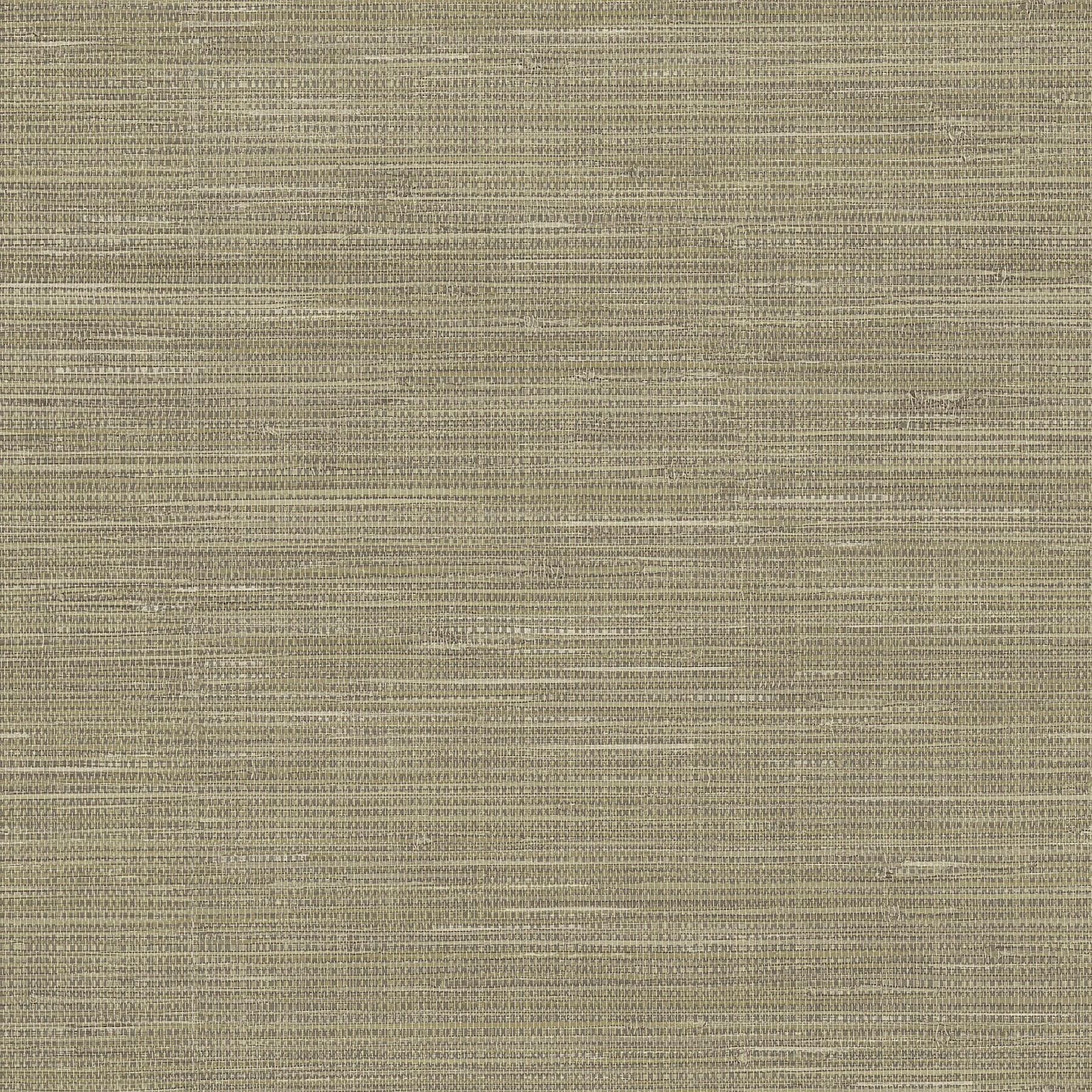 Grasscloth P&S Wallpaper by WallPops