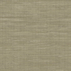 Grasscloth P&S Wallpaper by WallPops