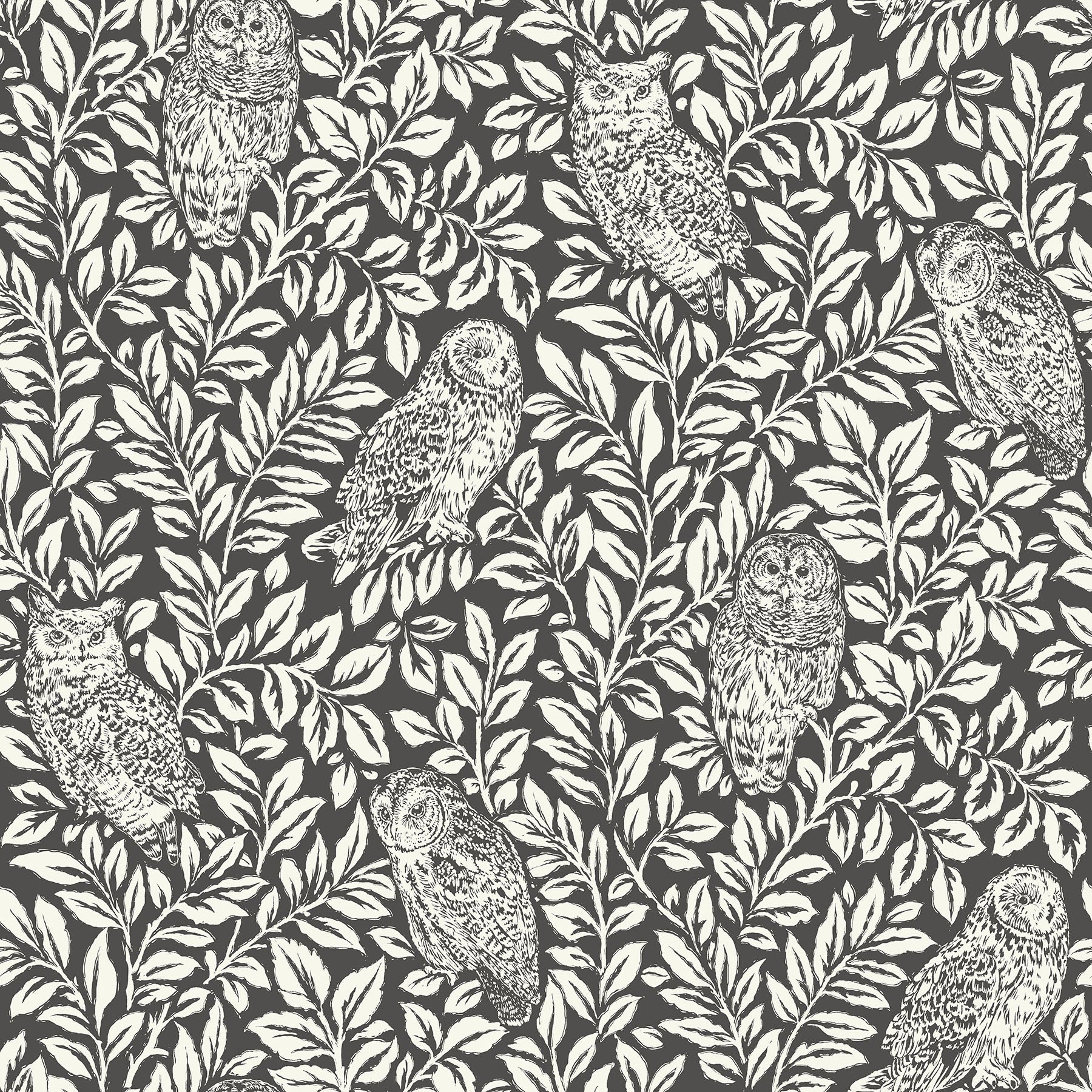 Sleepy Owls P&S Wallpaper by WallPops