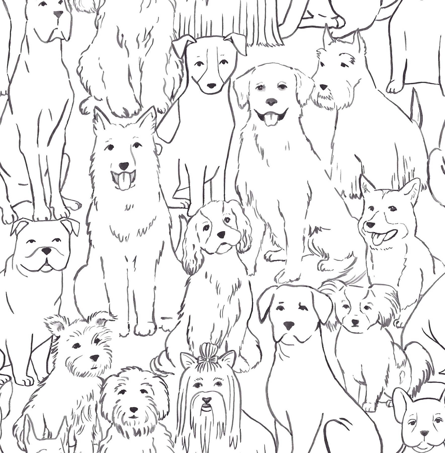 Paws On P&S Wallpaper by WallPops