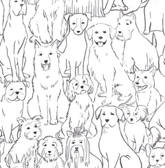 Paws On P&S Wallpaper by WallPops