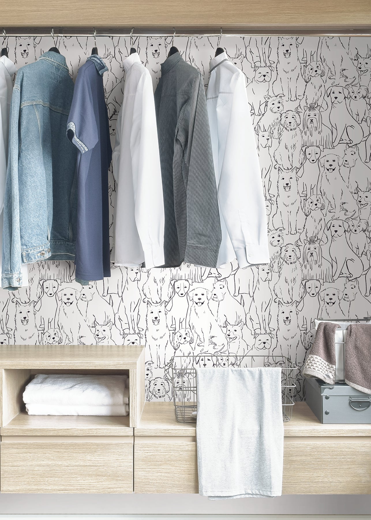 Paws On P&S Wallpaper in a room setting