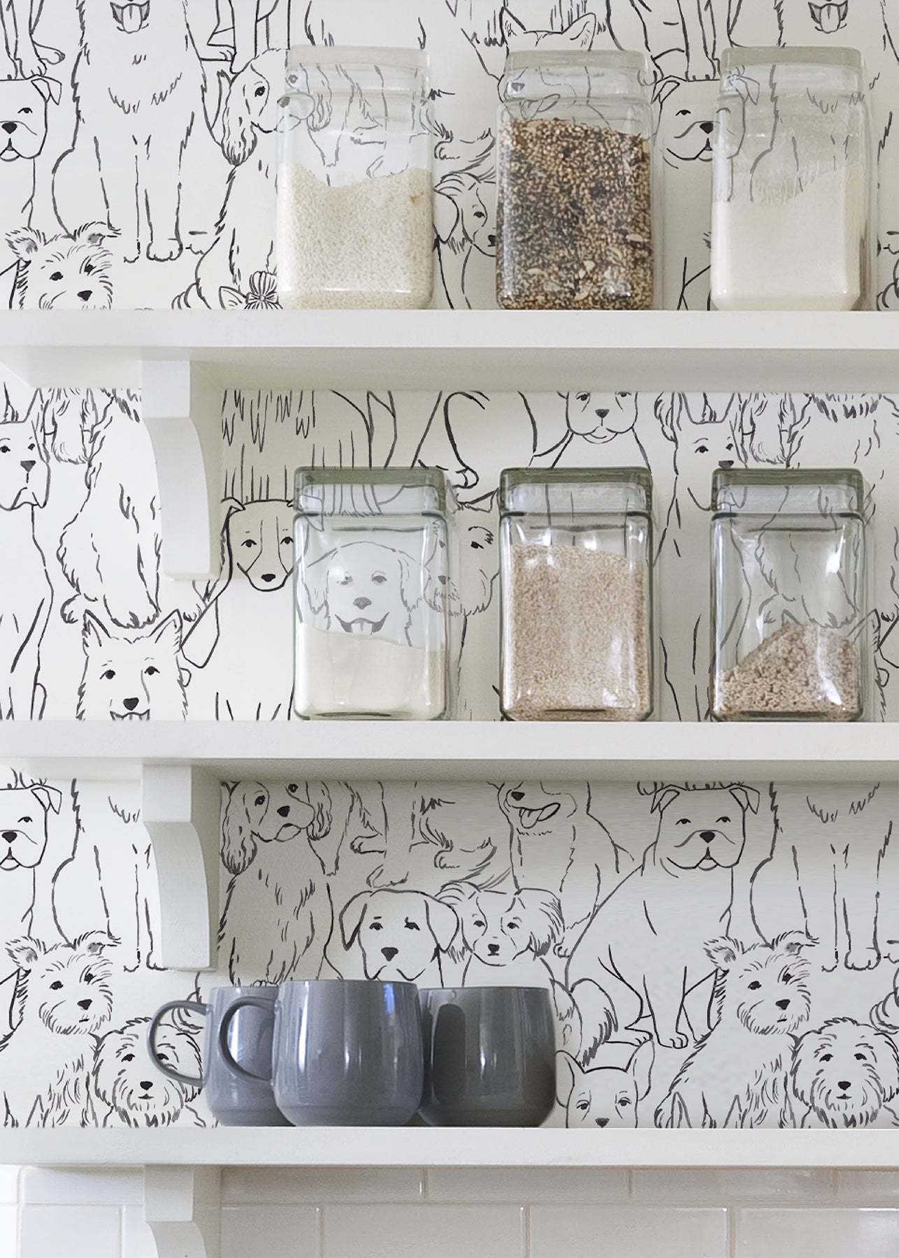 Paws On P&S Wallpaper in a room setting