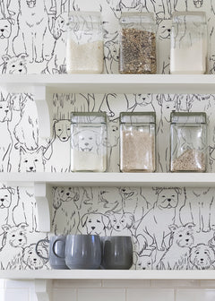 Paws On P&S Wallpaper in a room setting