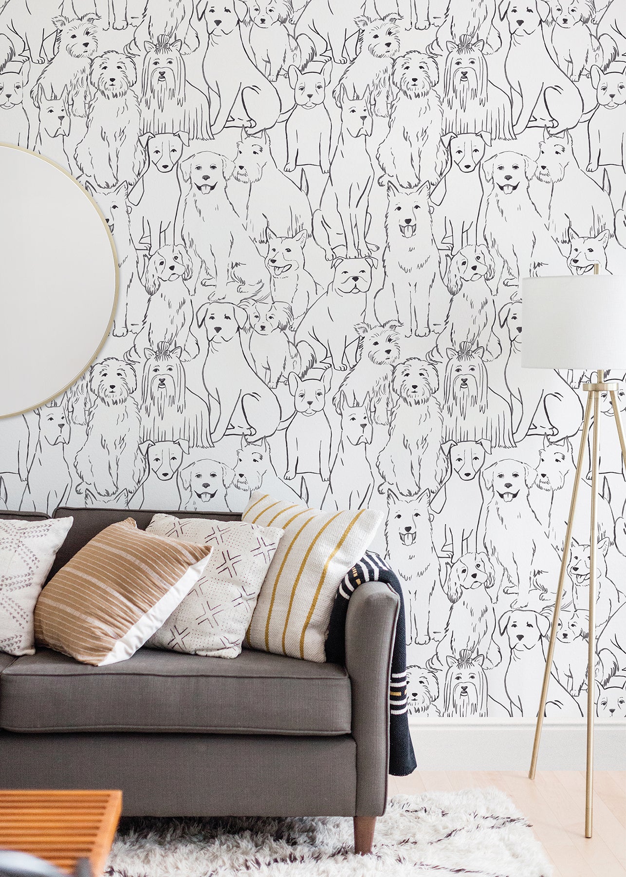 Paws On P&S Wallpaper in a room setting