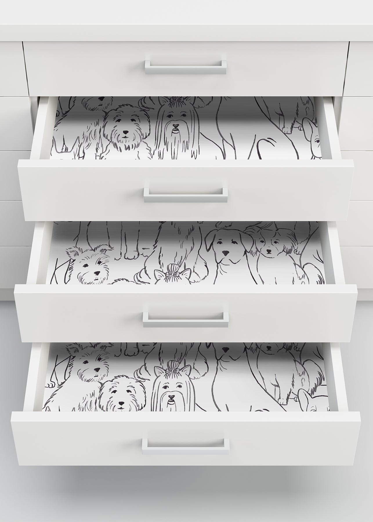 Paws On P&S Wallpaper in a room setting