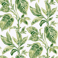 Caryota Peel and Stick Wallpaper by WallPops