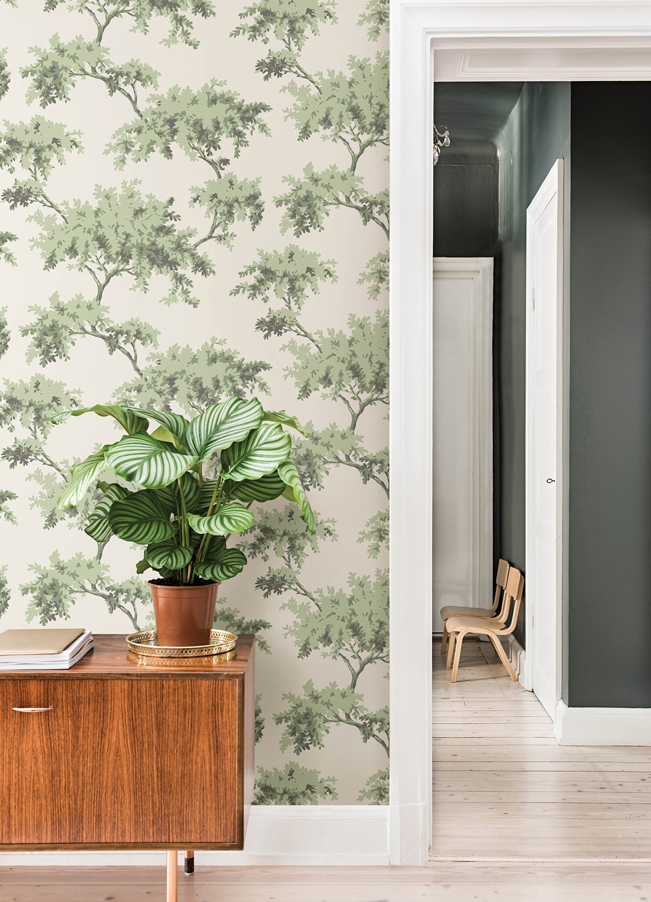 Alder P&S Wallpaper in a room setting