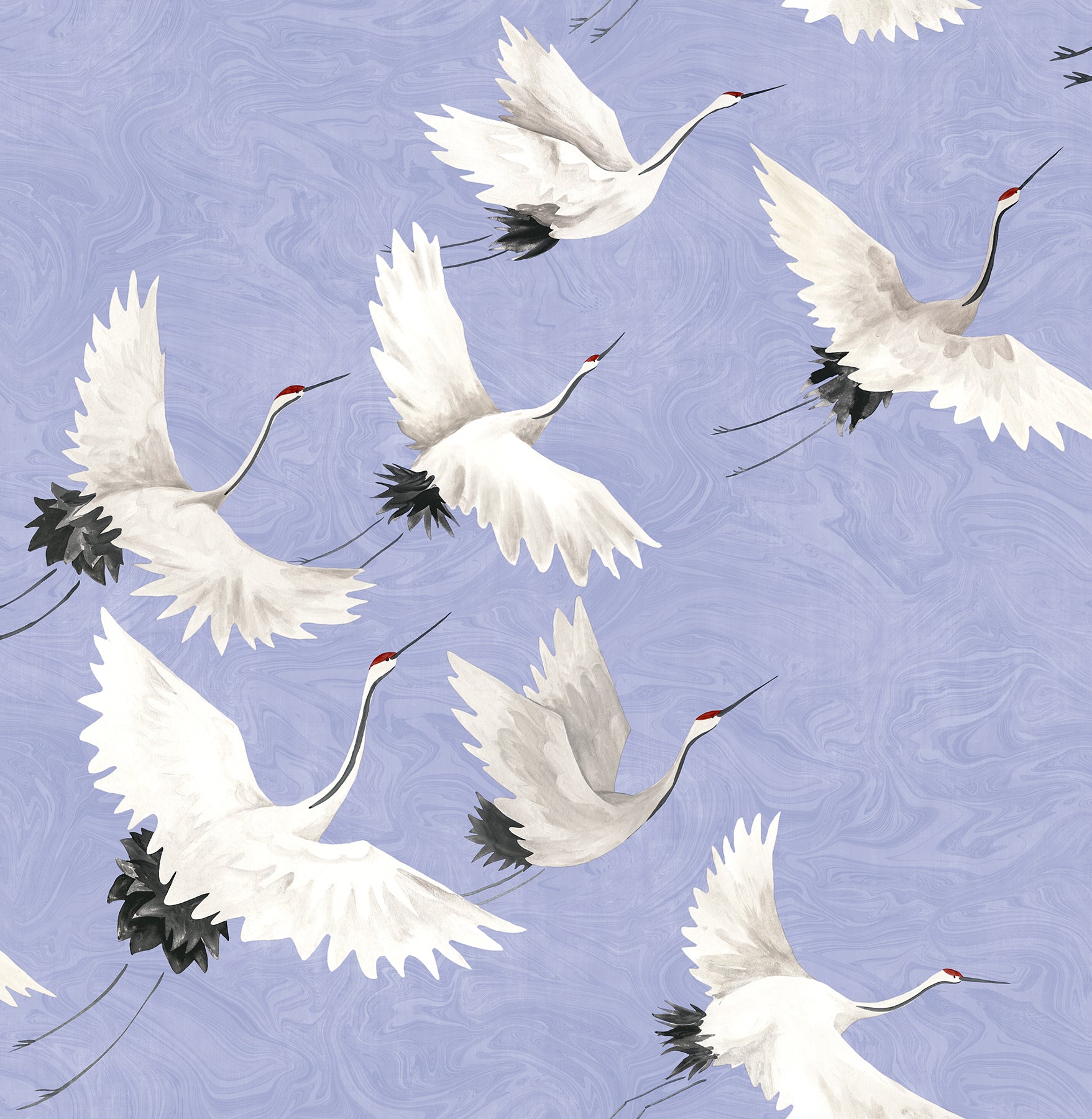 Halcyon Birds Peel and Stick Wallpaper by WallPops