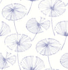 Periwinkle