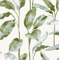 Banana Leaf Peel and Stick Wallpaper by WallPops