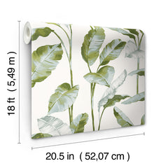 Banana Leaf Peel and Stick Wallpaper - dimensions