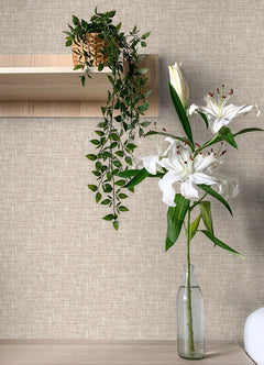 Poplin P&S Wallpaper in a room setting