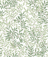 Herb Green