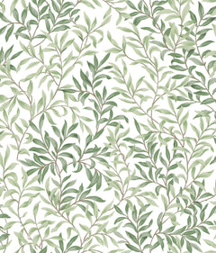 Terrace Vines P&S Wallpaper by WallPops