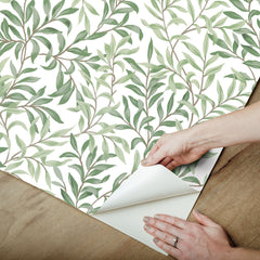 Terrace Vines P&S Wallpaper - how to peel