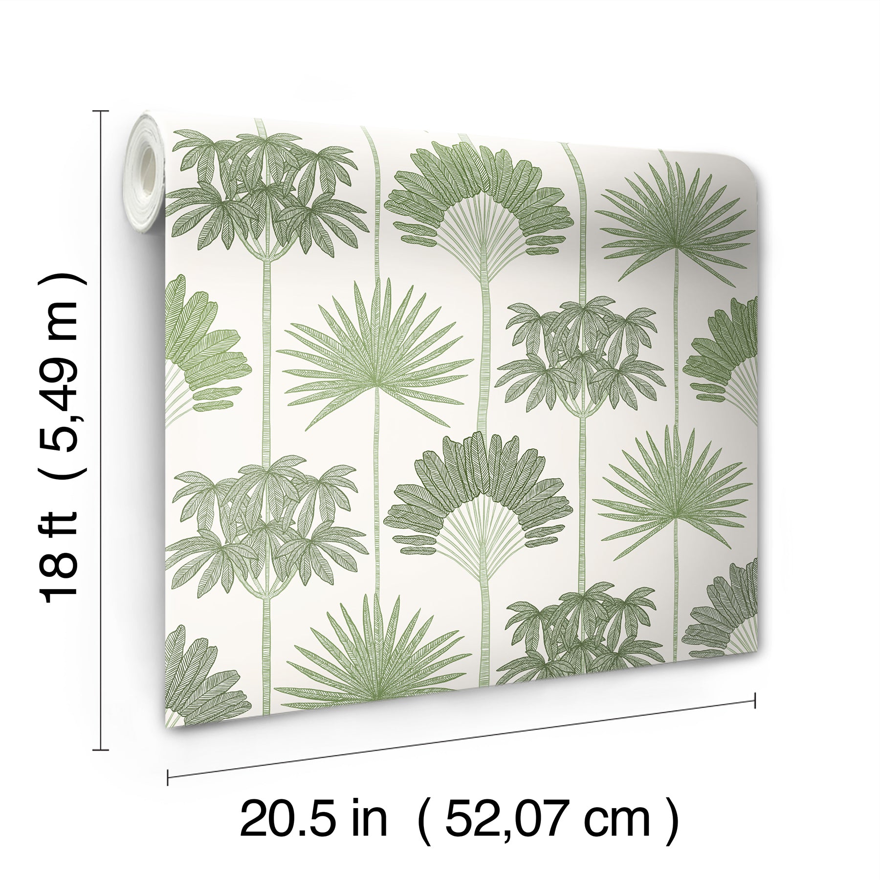 Kentia Peel and Stick Wallpaper - dimensions