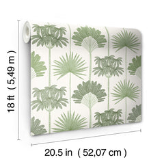Kentia Peel and Stick Wallpaper - dimensions