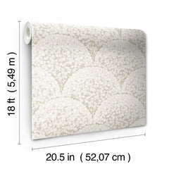 nus6372-wall-decal-product-dimensions