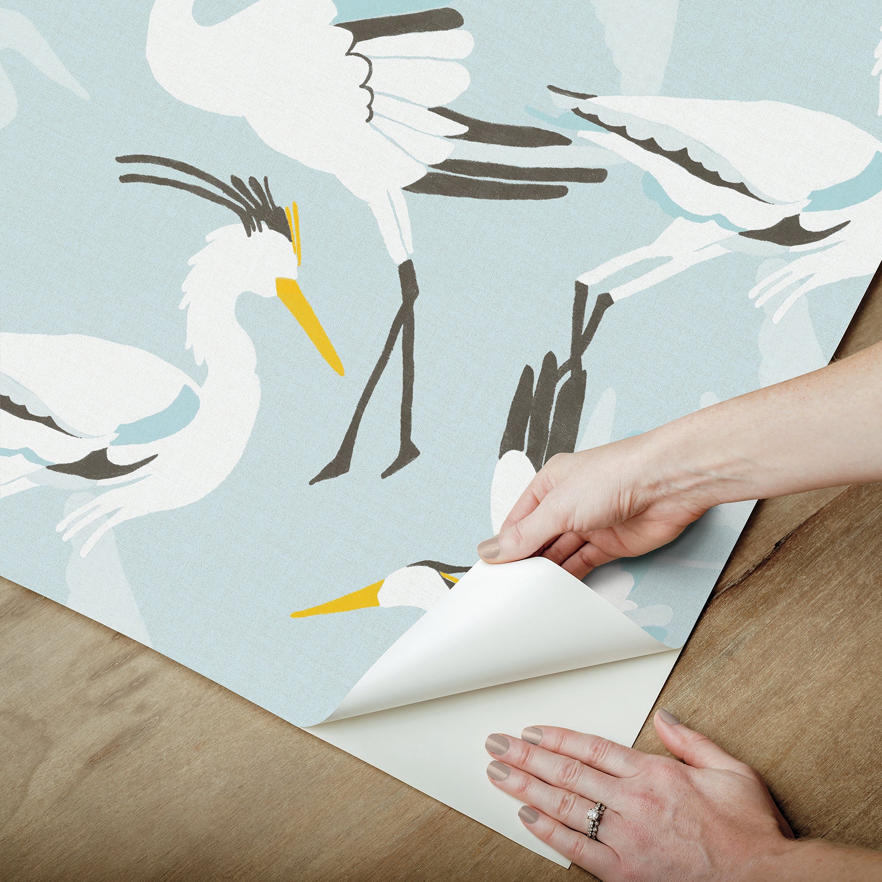 Coastal Wings P&S Wallpaper - how to peel