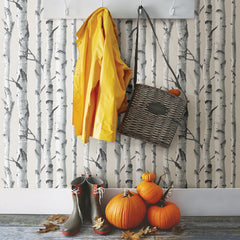 NUW1650 Peel and Stick Wallpaper in a room setting