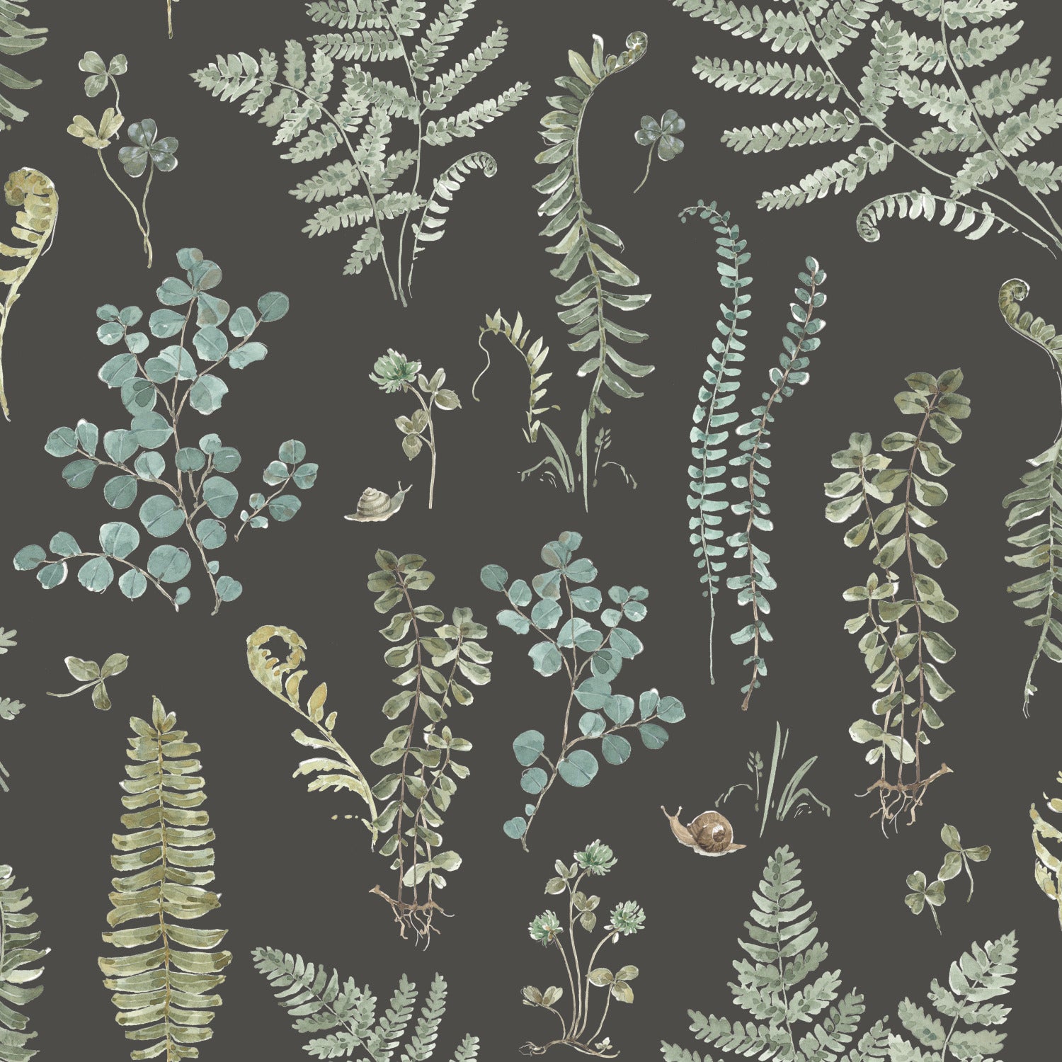 Fern Study P&S Wallpaper by WallPops