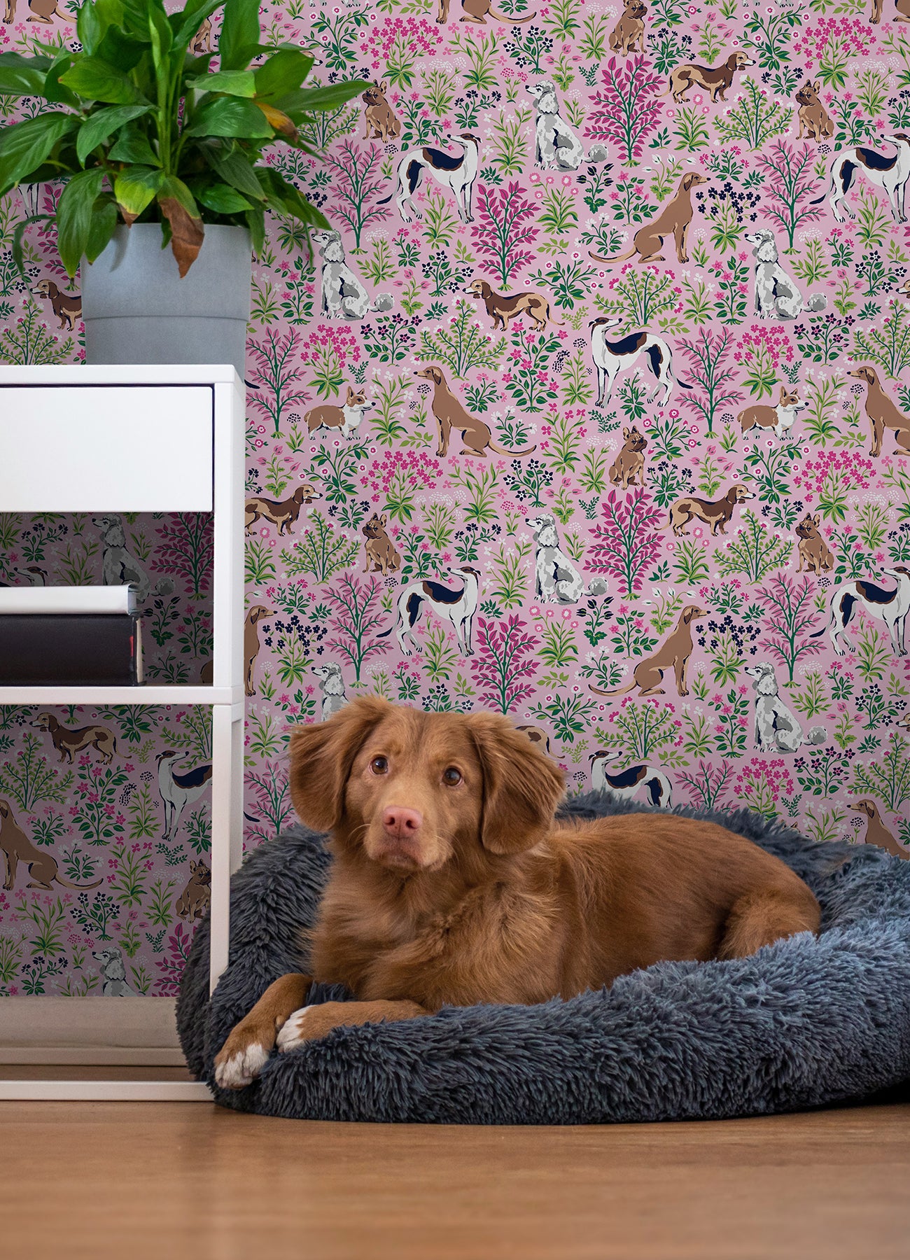 PrintFresh Must Love Dogs Peel and Stick Wallpaper in a room setting