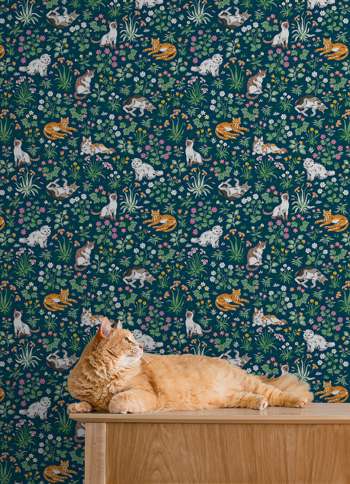 Must Love Cats P&S Wallpaper in a room setting