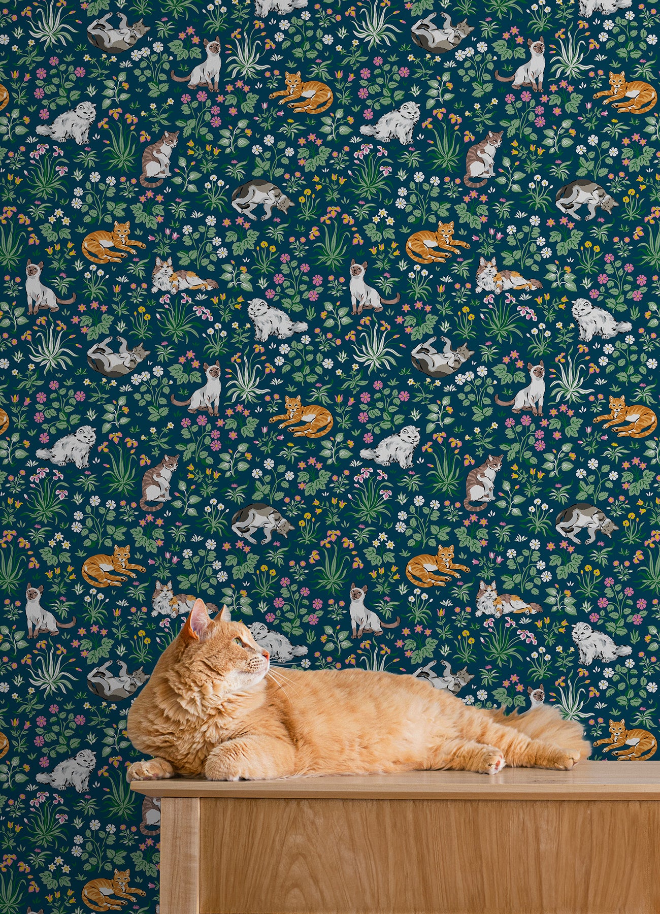 Must Love Cats P&S Wallpaper in a room setting