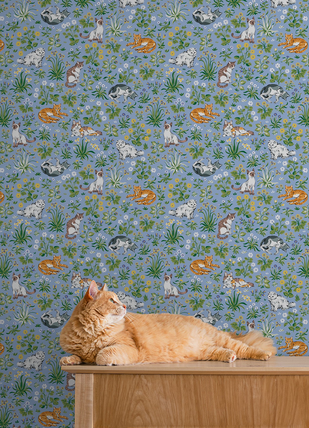 Must Love Cats P&S Wallpaper in a room setting