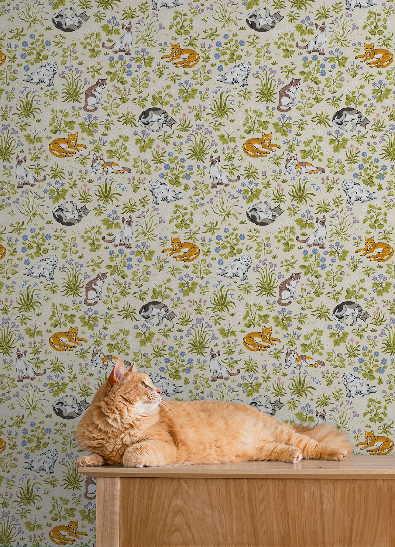 Must Love Cats P&S Wallpaper in a room setting