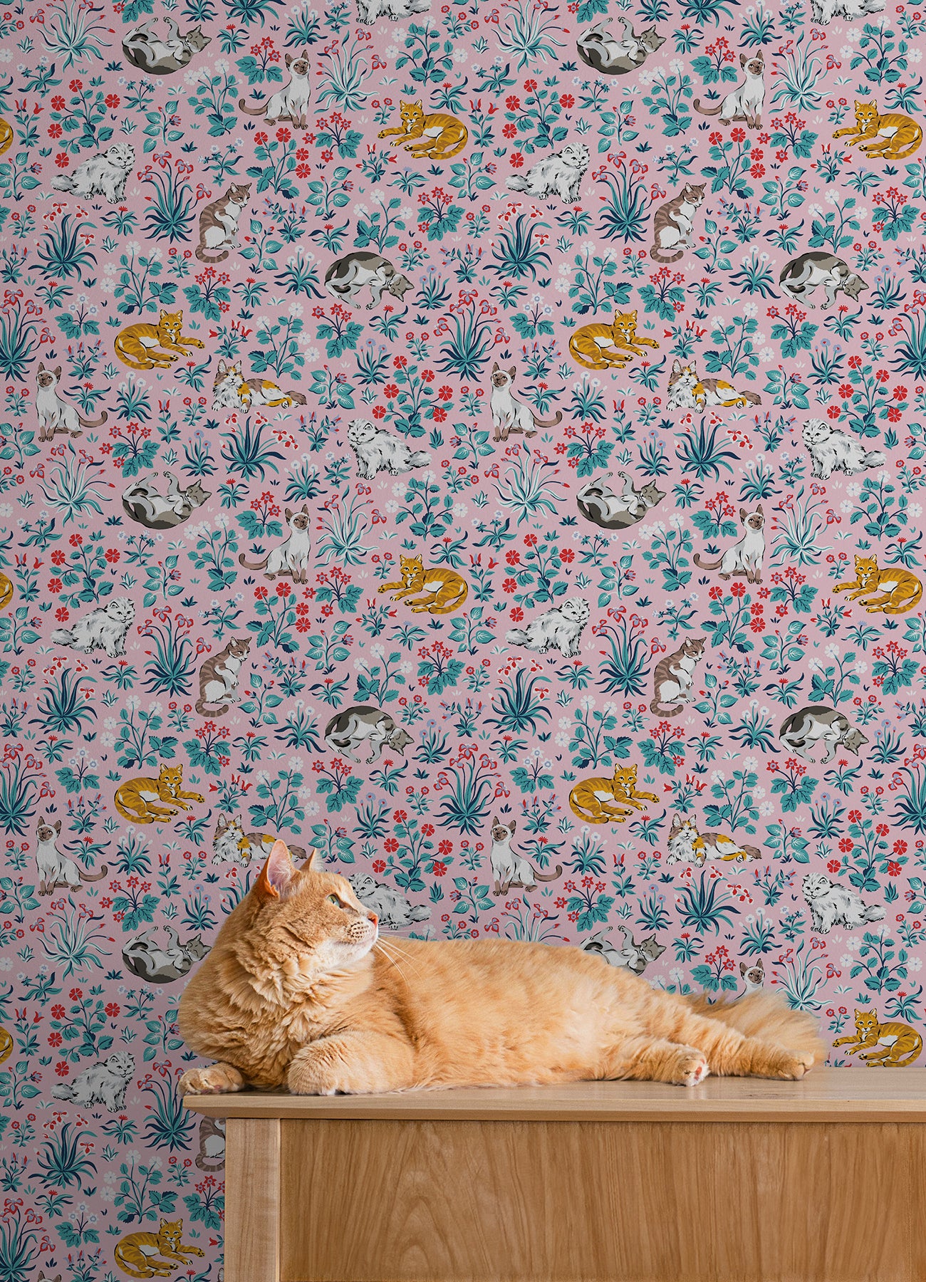Must Love Cats P&S Wallpaper in a room setting