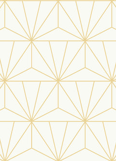 Packed Party Geometric Peel and Stick Wallpaper by WallPops
