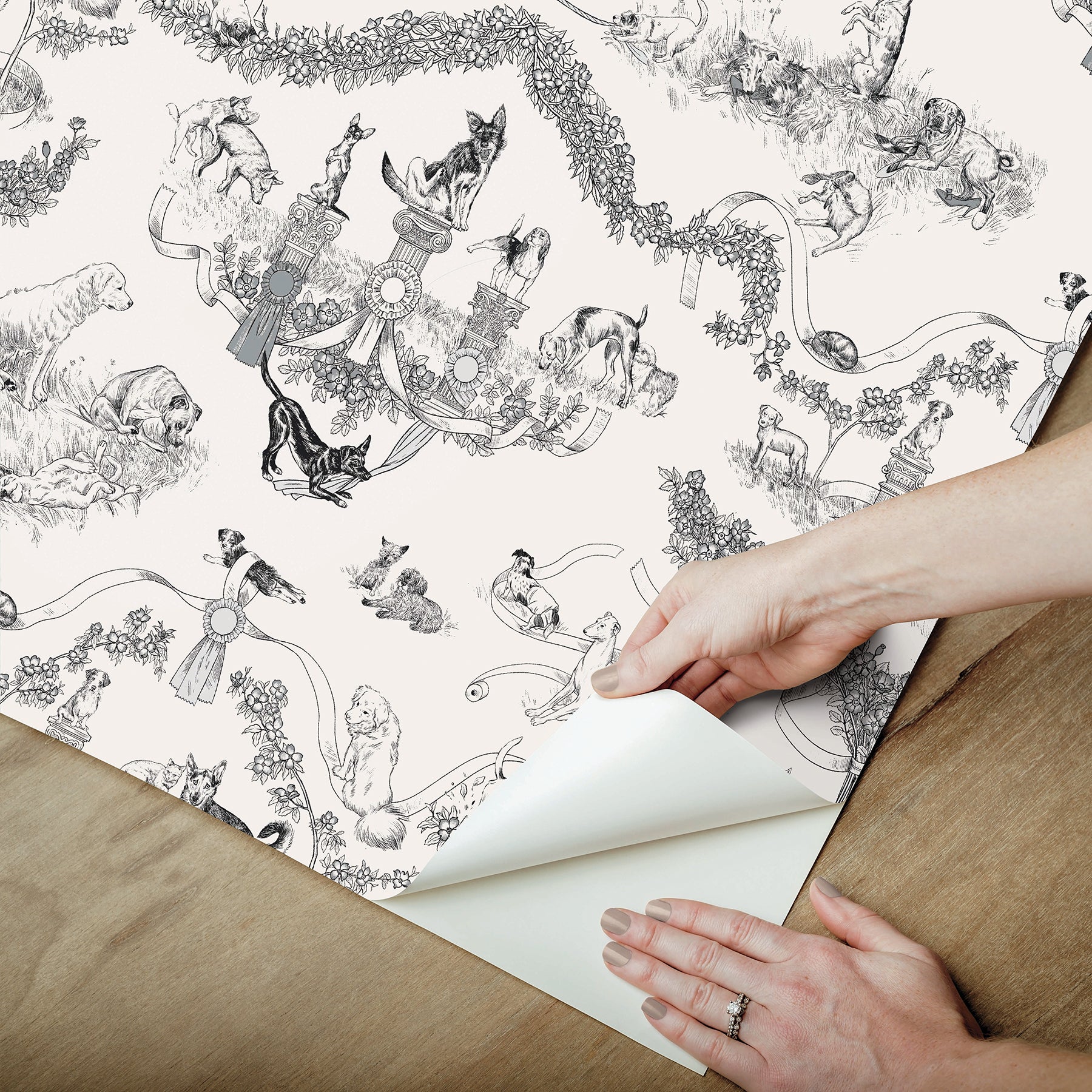 Rachel Antonoff Worst in Show Peel and Stick Wallpaper - how to peel