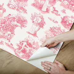 Rachel Antonoff The Chase Peel and Stick Wallpaper - how to peel