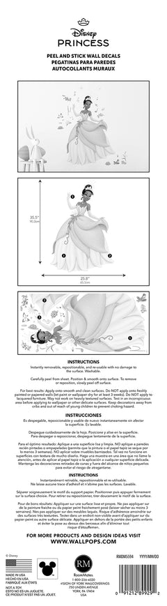 Disney Princess Tiana Wall Decals - packaging