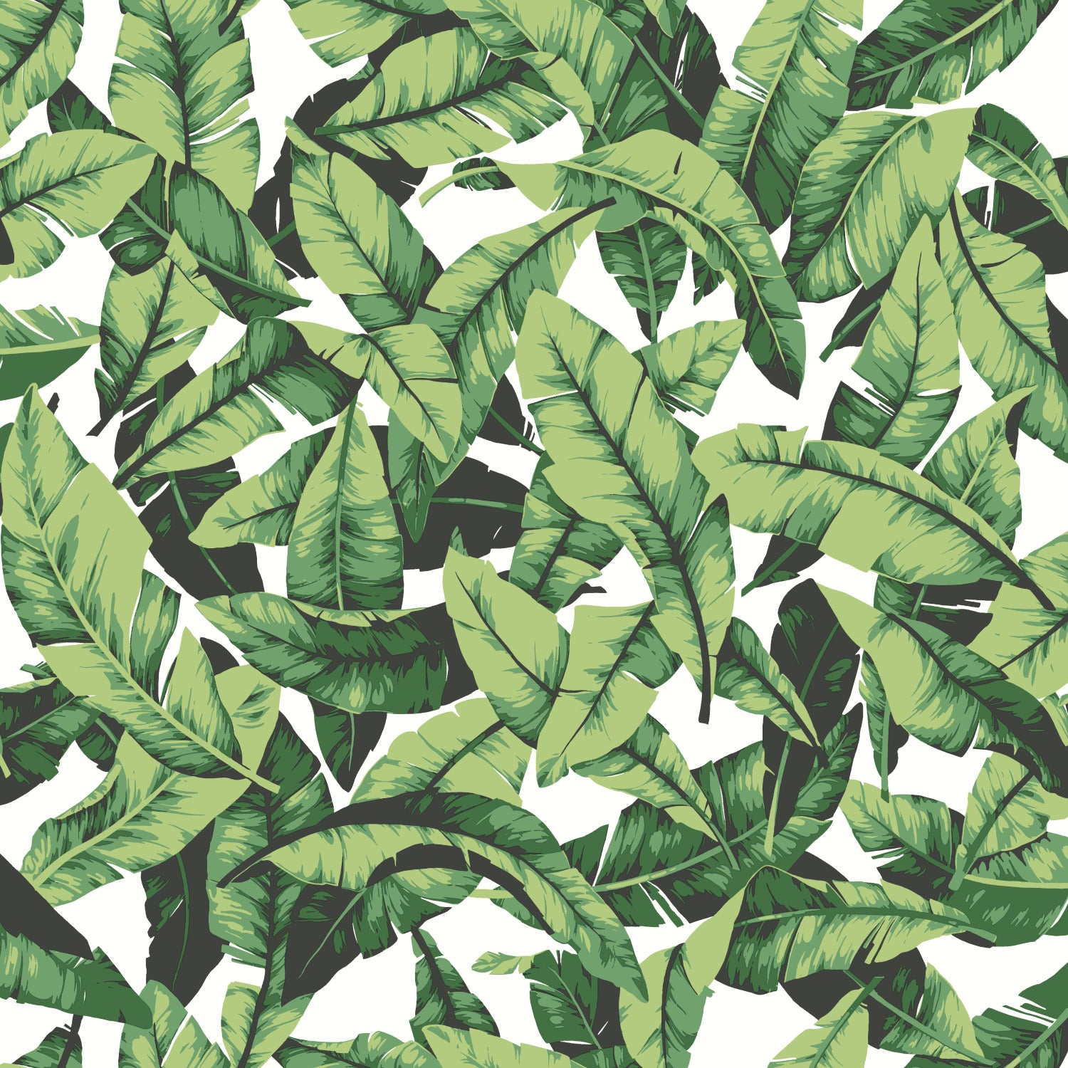 Palm Peel and Stick Wallpaper by WallPops