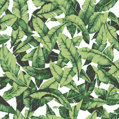 Palm Peel and Stick Wallpaper by WallPops