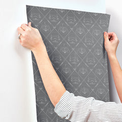 Star Wars The Dark Side Peel & Stick Wallpaper - how to stick