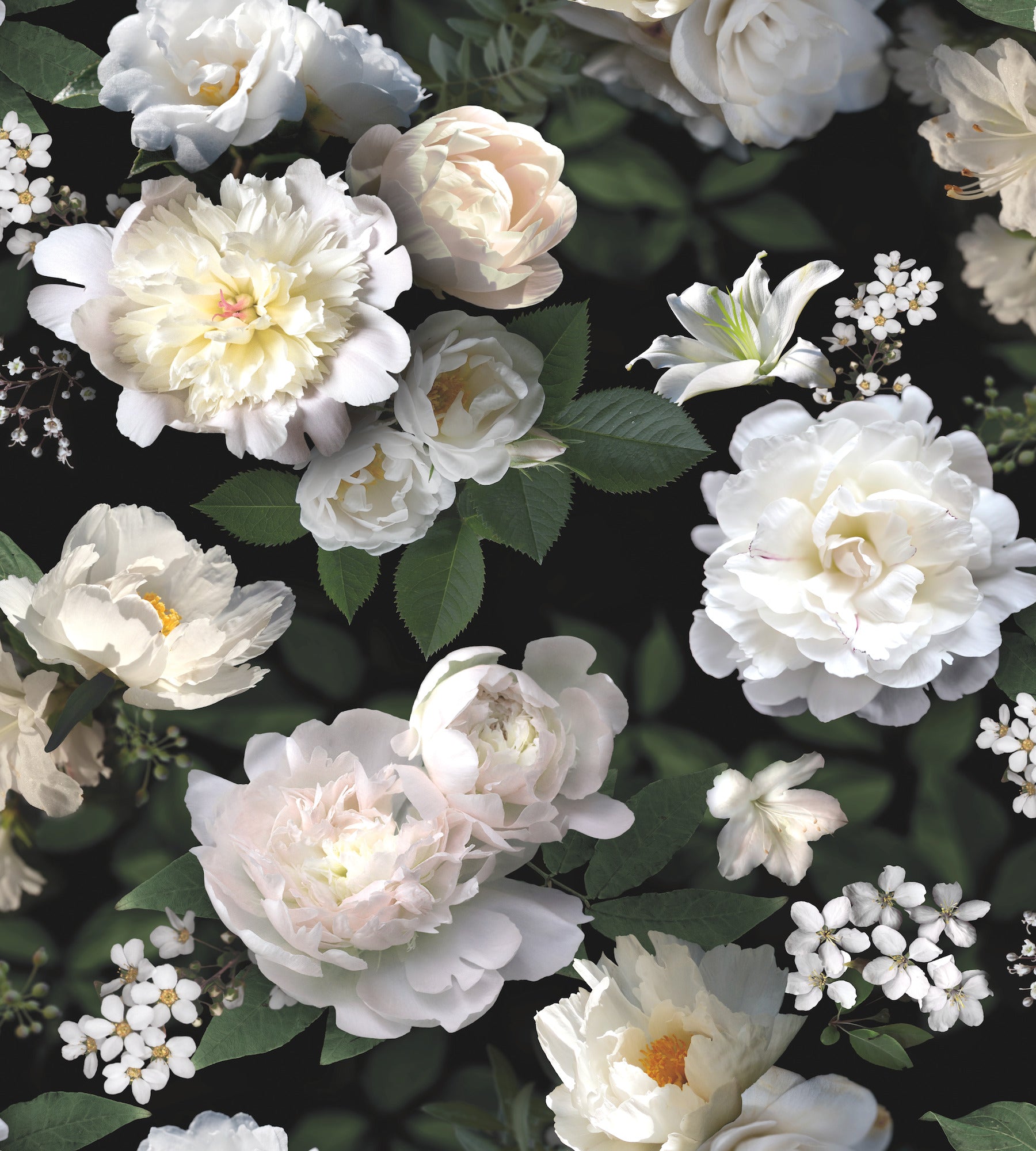 Photographic Floral Peel and Stick Mural by WallPops