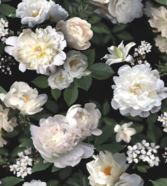 Photographic Floral Peel and Stick Mural by WallPops