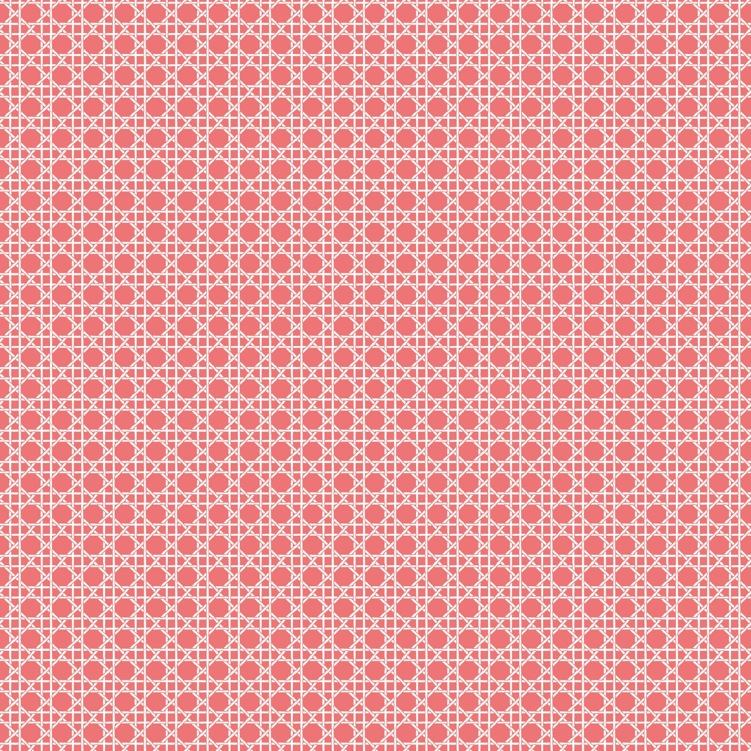 Caning Peel and Stick Wallpaper by WallPops