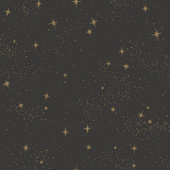 Upon A Star P&S Wallpaper by WallPops