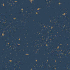 Upon A Star P&S Wallpaper by WallPops