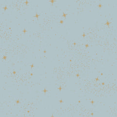 Upon A Star P&S Wallpaper by WallPops