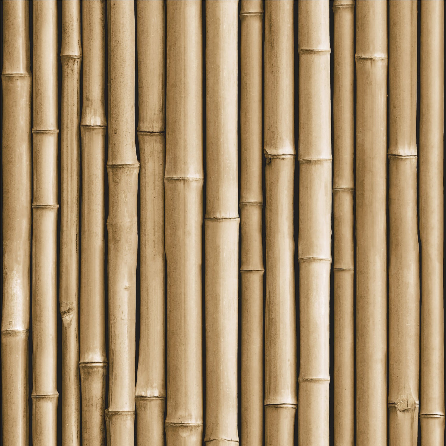 Bamboo Peel and Stick Wallpaper by WallPops