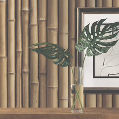 Bamboo Peel and Stick Wallpaper in a room setting